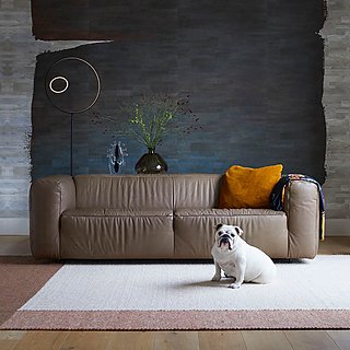 Ein braunes Ledersofa mit einer weißen Bulldogge davor.