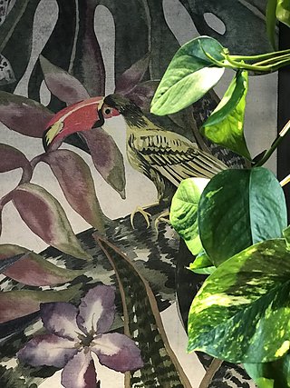 Tropische Tapete mit Vogel- und Pflanzenmotiv neben einer echten Grünpflanze.