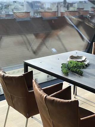 Esstisch mit braunen Ledersesseln und Blick über die Wiener Dächer durch die Glasfront.